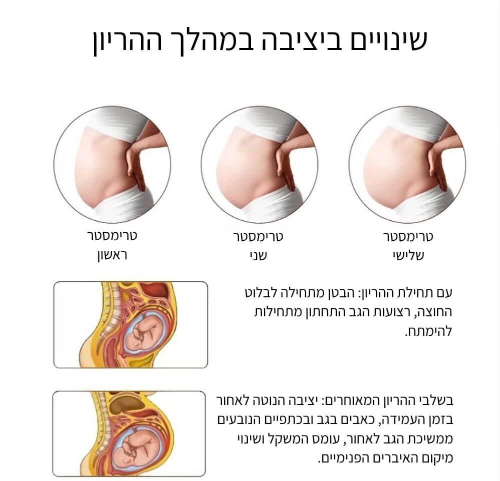 חגורת הריון | להקלת כאבי הגב בזמן עמידה